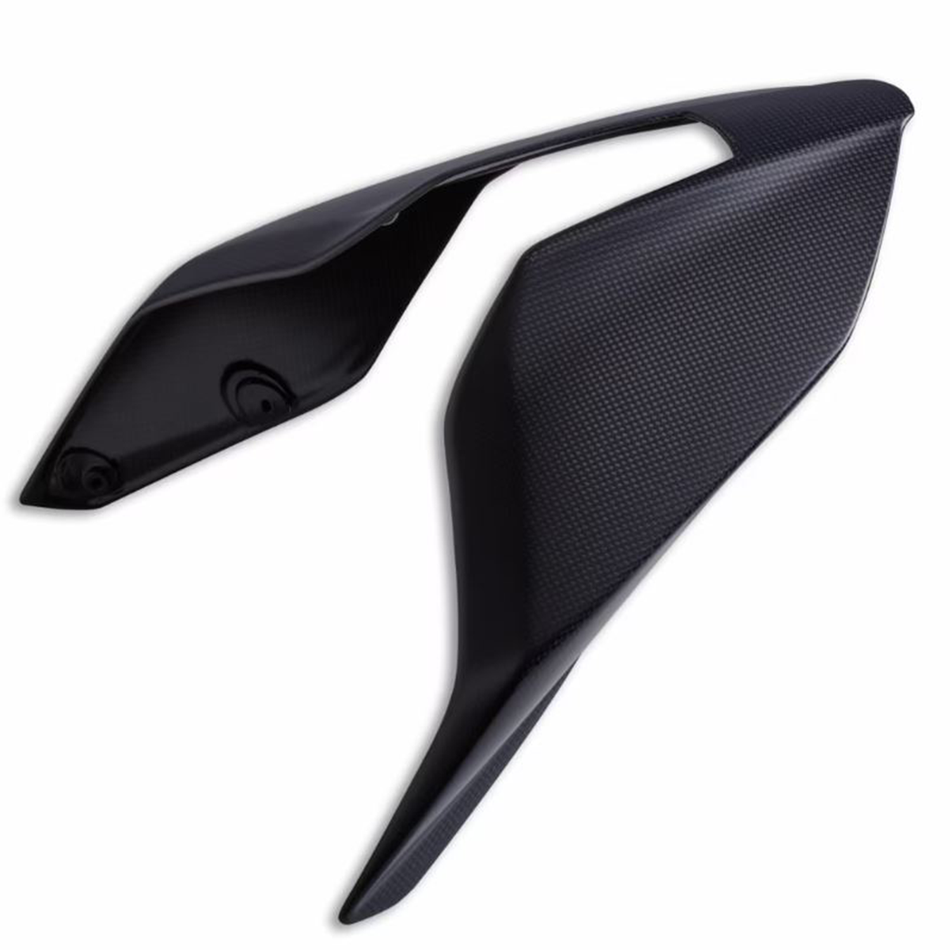 Ducati Panigale V4 Carbon Fiber Single Seater Tail Guard