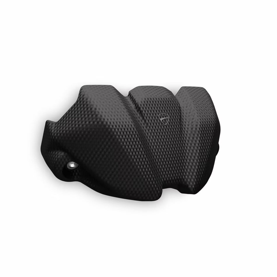 Ducati Carbon Fiber Instrument Cover Streetfighter V2 (2025+)