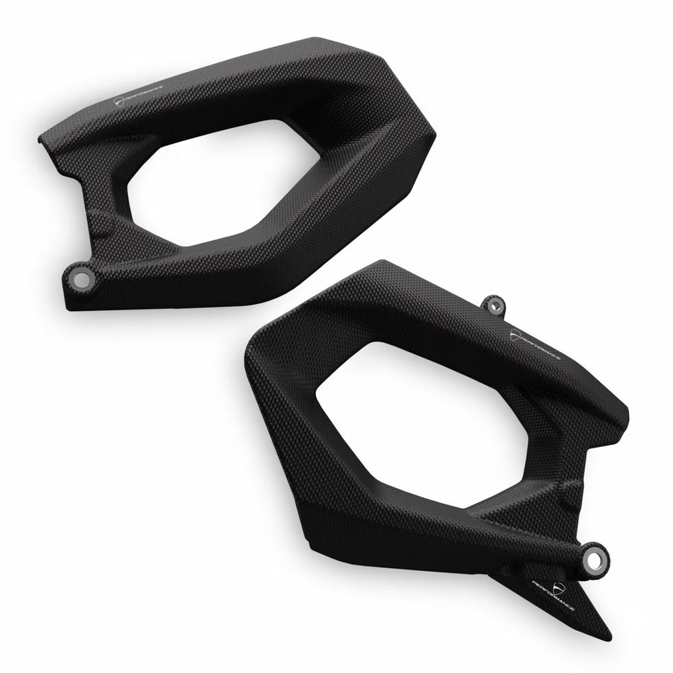 Ducati Carbon Fiber Swingarm Guard Streetfighter V2 (2025+)