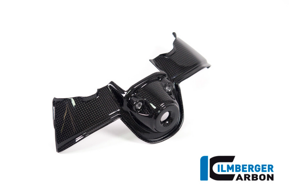 Ilmberger-Carbon Gloss Key Guard for Ducati Panigale V4